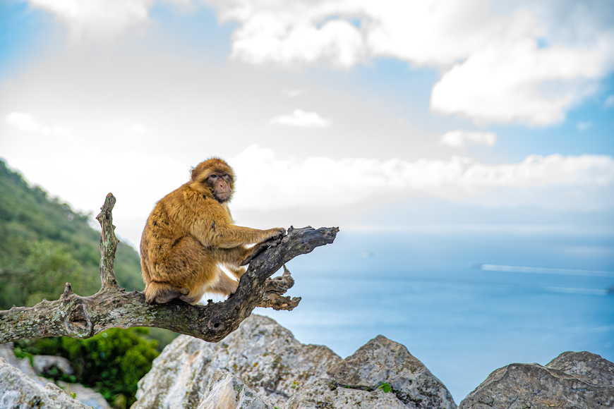 Vacaciones en Gibraltar